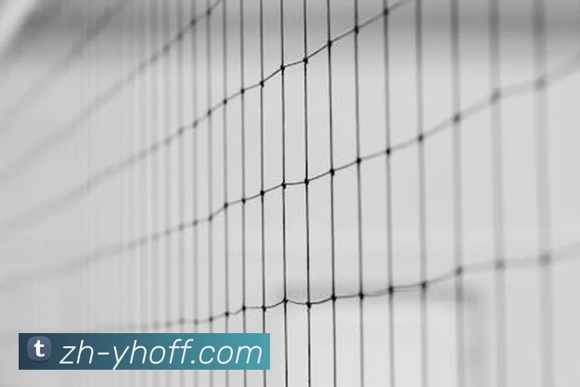 壹号官方中心平台生态图